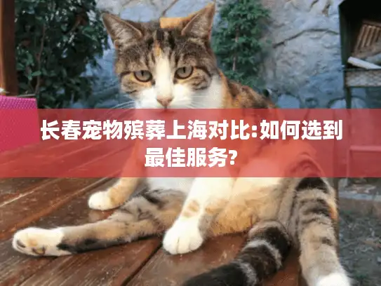 长春宠物殡葬上海对比:如何选到最佳服务?
