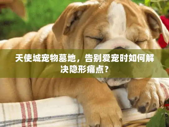 天使城宠物墓地，告别爱宠时如何解决隐形痛点？