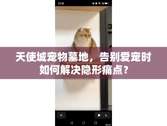 天使城宠物墓地，告别爱宠时如何解决隐形痛点？