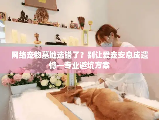 网络宠物墓地选错了？别让爱宠安息成遗憾—专业避坑方案