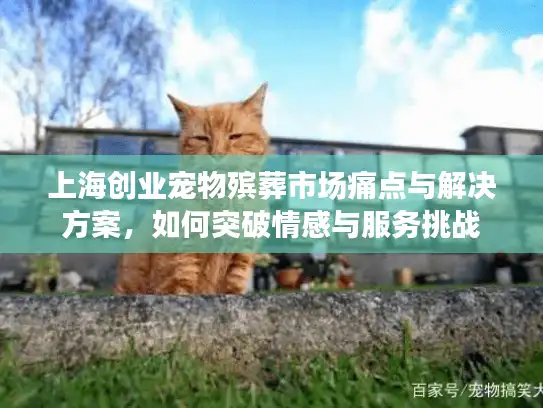 上海创业宠物殡葬市场痛点与解决方案，如何突破情感与服务挑战