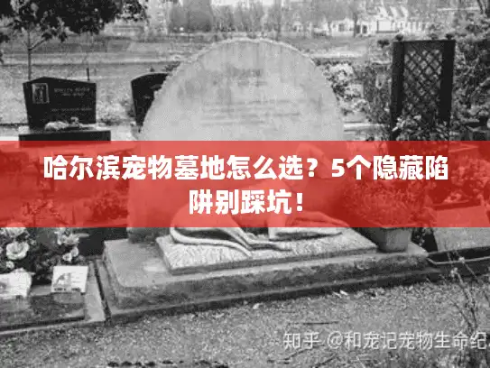 哈尔滨宠物墓地怎么选？5个隐藏陷阱别踩坑！