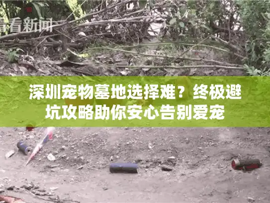 深圳宠物墓地选择难？终极避坑攻略助你安心告别爱宠