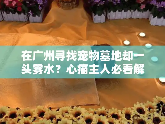 在广州寻找宠物墓地却一头雾水？心痛主人必看解决方案