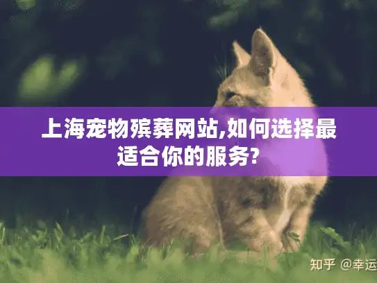 上海宠物殡葬网站,如何选择最适合你的服务?