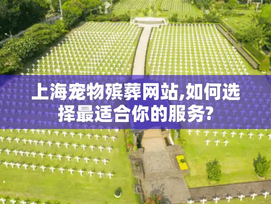 上海宠物殡葬网站,如何选择最适合你的服务?