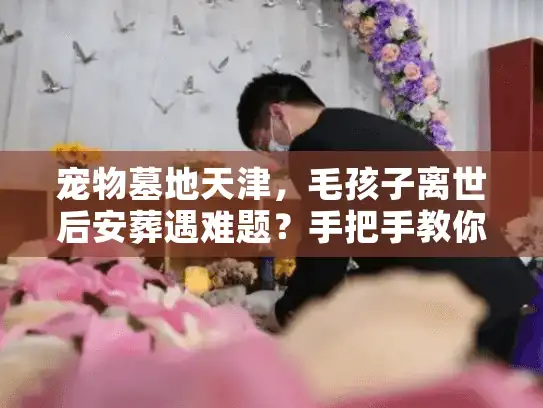 宠物墓地天津，毛孩子离世后安葬遇难题？手把手教你避开隐形坑