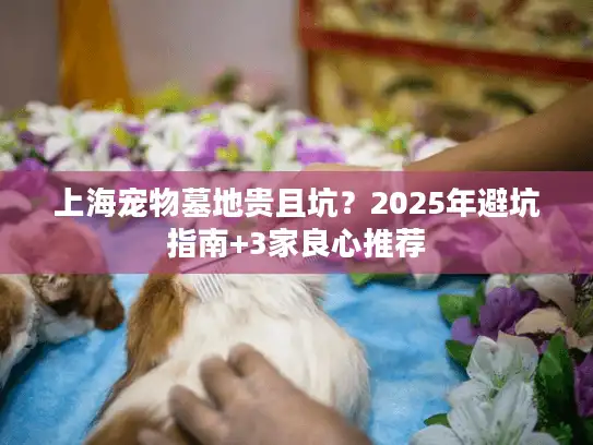 上海宠物墓地贵且坑？2025年避坑指南+3家良心推荐