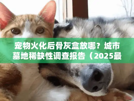 宠物火化后骨灰盒放哪？城市墓地稀缺性调查报告（2025最新）