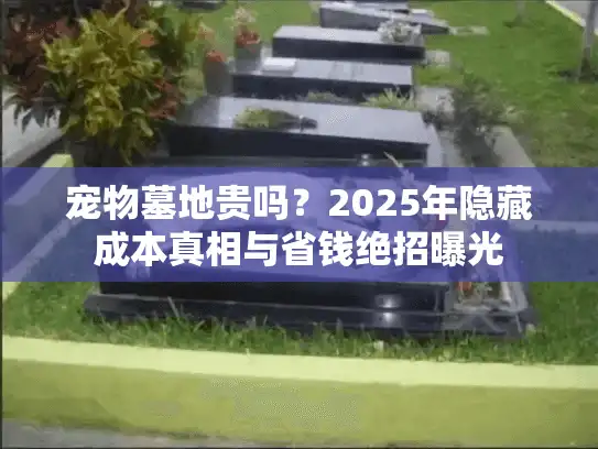 宠物墓地贵吗？2025年隐藏成本真相与省钱绝招曝光