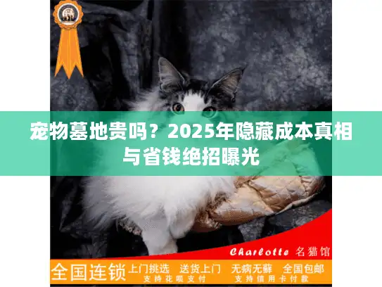 宠物墓地贵吗？2025年隐藏成本真相与省钱绝招曝光