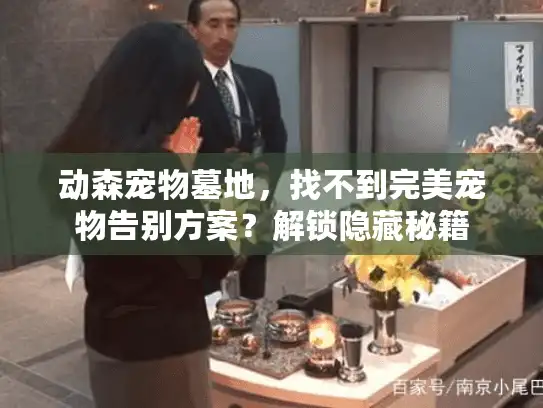 动森宠物墓地，找不到完美宠物告别方案？解锁隐藏秘籍