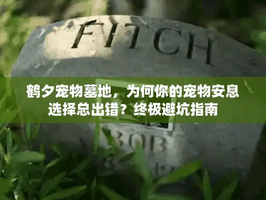 鹤夕宠物墓地，为何你的宠物安息选择总出错？终极避坑指南