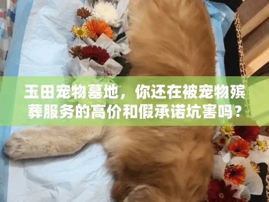 玉田宠物墓地，你还在被宠物殡葬服务的高价和假承诺坑害吗？
