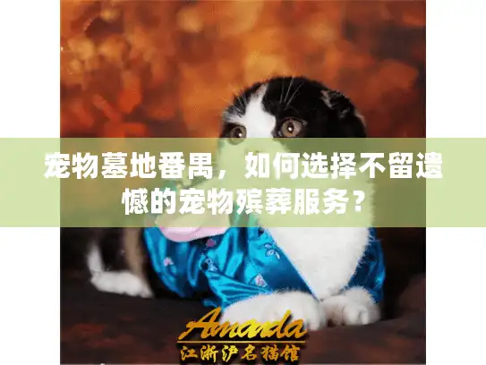 宠物墓地番禺，如何选择不留遗憾的宠物殡葬服务？