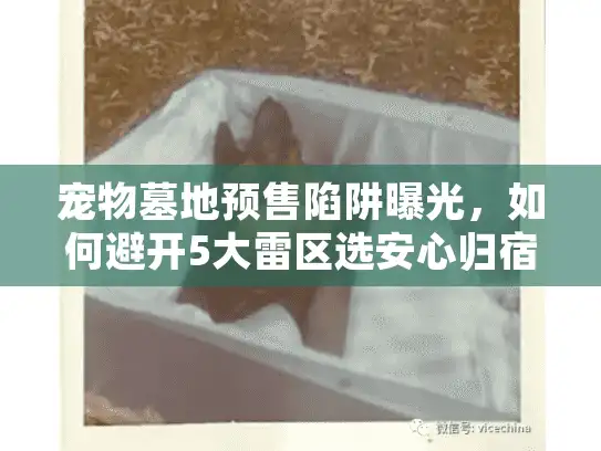 宠物墓地预售陷阱曝光，如何避开5大雷区选安心归宿？