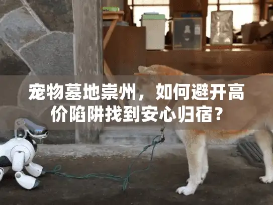 宠物墓地崇州，如何避开高价陷阱找到安心归宿？
