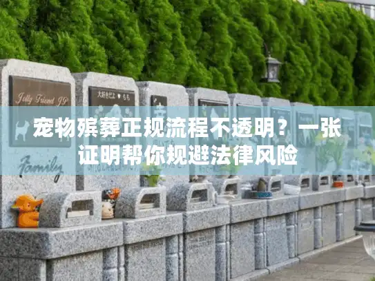 宠物殡葬正规流程不透明？一张证明帮你规避法律风险