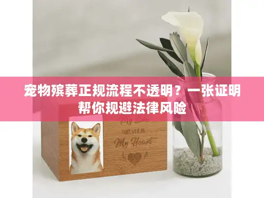 宠物殡葬正规流程不透明？一张证明帮你规避法律风险