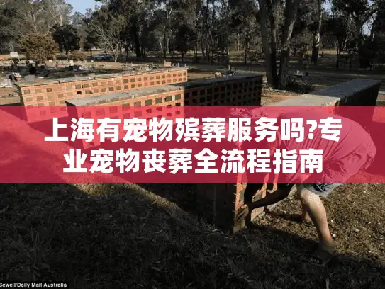 上海有宠物殡葬服务吗?专业宠物丧葬全流程指南
