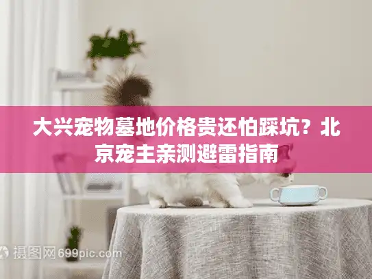 大兴宠物墓地价格贵还怕踩坑？北京宠主亲测避雷指南