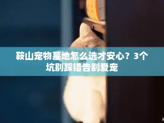 鞍山宠物墓地怎么选才安心？3个坑别踩错告别爱宠