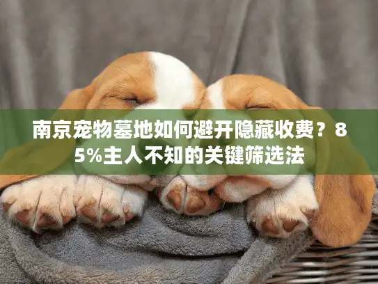 南京宠物墓地如何避开隐藏收费？85%主人不知的关键筛选法