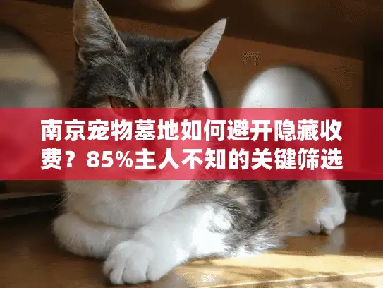 南京宠物墓地如何避开隐藏收费？85%主人不知的关键筛选法