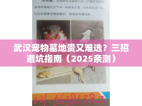 武汉宠物墓地贵又难选？三招避坑指南（2025亲测）