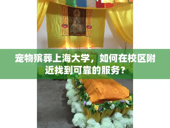 宠物殡葬上海大学，如何在校区附近找到可靠的服务？