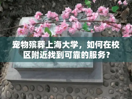 宠物殡葬上海大学，如何在校区附近找到可靠的服务？