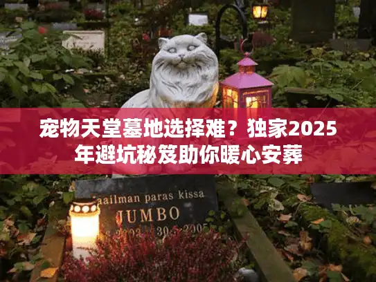 宠物天堂墓地选择难？独家2025年避坑秘笈助你暖心安葬
