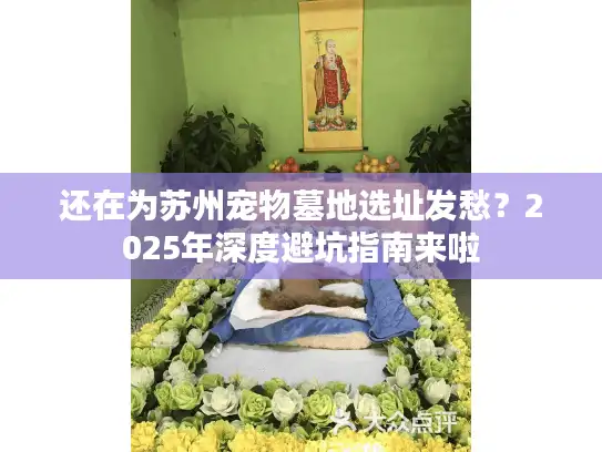 还在为苏州宠物墓地选址发愁？2025年深度避坑指南来啦