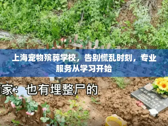 上海宠物殡葬学校，告别慌乱时刻，专业服务从学习开始