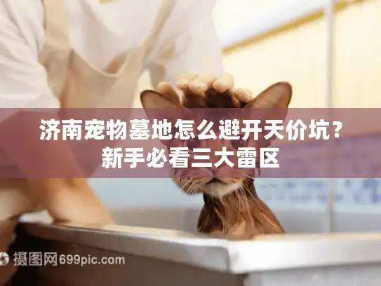 济南宠物墓地怎么避开天价坑？新手必看三大雷区