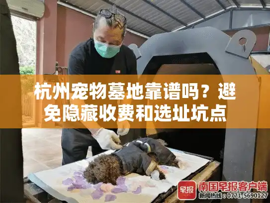 杭州宠物墓地靠谱吗？避免隐藏收费和选址坑点