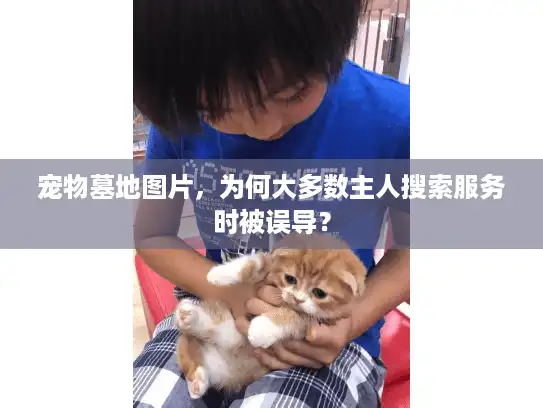 宠物墓地图片，为何大多数主人搜索服务时被误导？