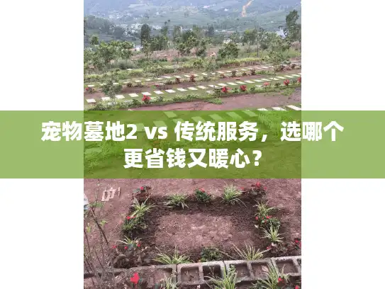 宠物墓地2 vs 传统服务，选哪个更省钱又暖心？