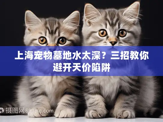 上海宠物墓地水太深？三招教你避开天价陷阱