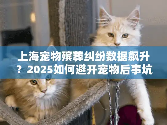 上海宠物殡葬纠纷数据飙升？2025如何避开宠物后事坑