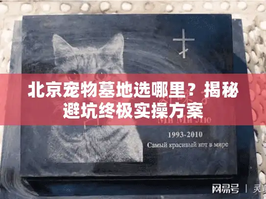 北京宠物墓地选哪里？揭秘避坑终极实操方案