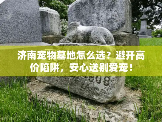 济南宠物墓地怎么选？避开高价陷阱，安心送别爱宠！