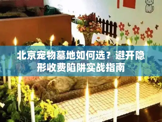 北京宠物墓地如何选？避开隐形收费陷阱实战指南
