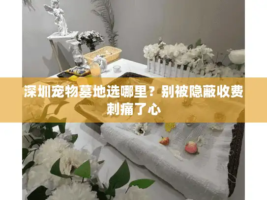 深圳宠物墓地选哪里？别被隐蔽收费刺痛了心