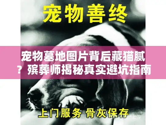 宠物墓地图片背后藏猫腻？殡葬师揭秘真实避坑指南