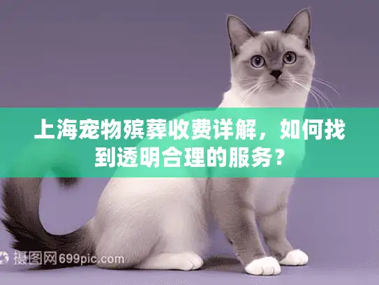上海宠物殡葬收费详解，如何找到透明合理的服务？