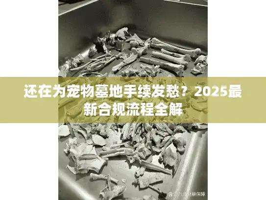 还在为宠物墓地手续发愁？2025最新合规流程全解