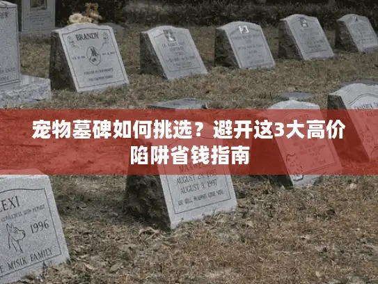 宠物墓碑如何挑选？避开这3大高价陷阱省钱指南