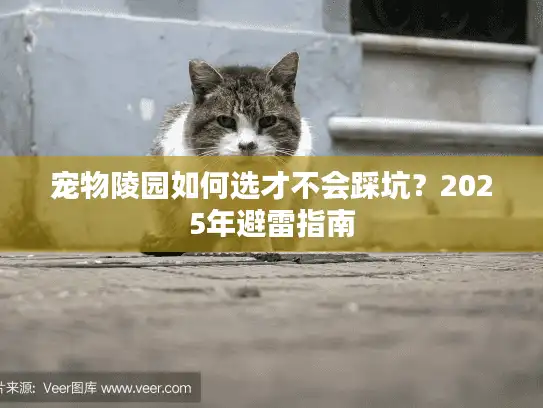 宠物陵园如何选才不会踩坑？2025年避雷指南