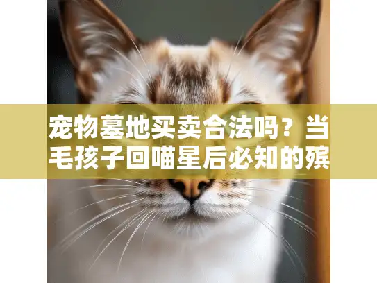 宠物墓地买卖合法吗？当毛孩子回喵星后必知的殡葬避坑指南